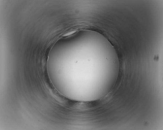 X0000113580082200910091512