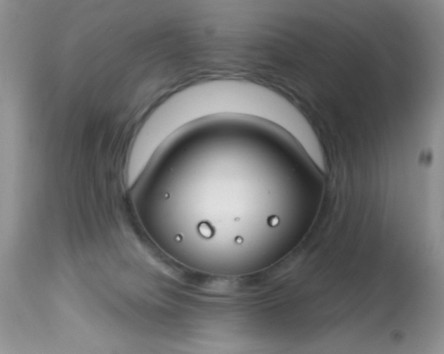 X0000113580084200910091512