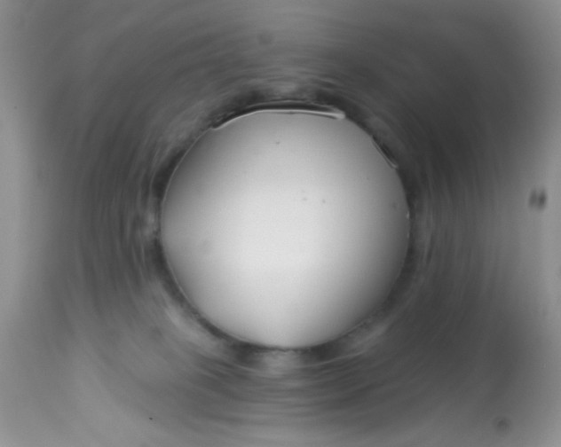 X0000113580085200910091512