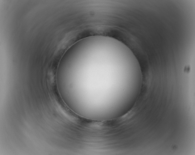 X0000113580086200910091512