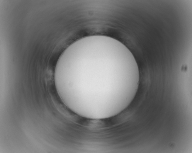 X0000113580087200910091512