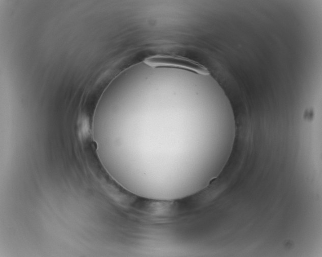 X0000113580089200910091512