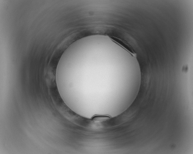 X0000113580091200910091512