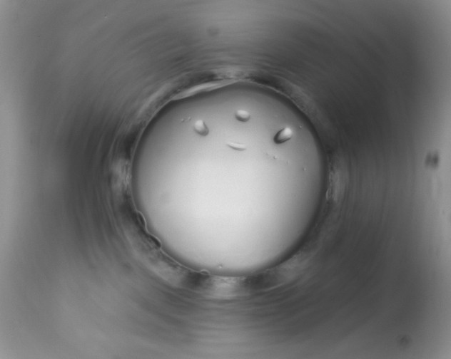 X0000113580093200910091512