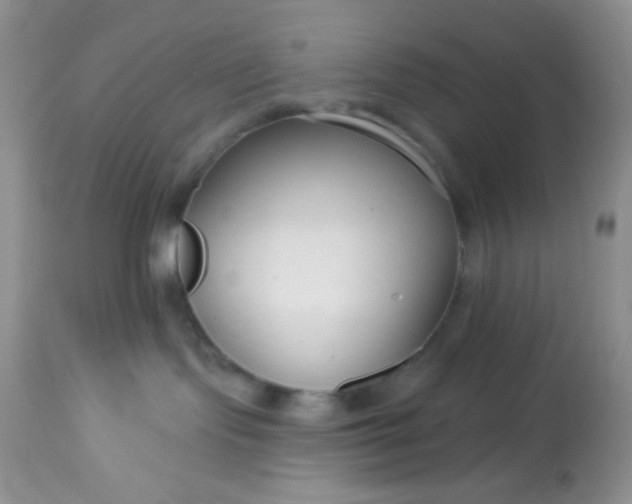 X0000113580095200910091512