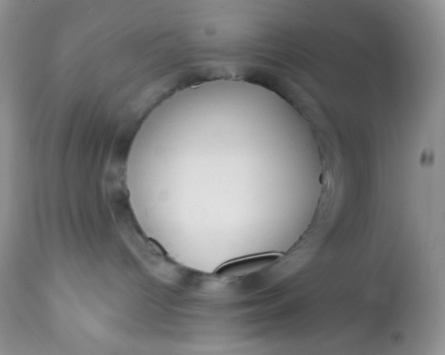 X0000113580096200910091512