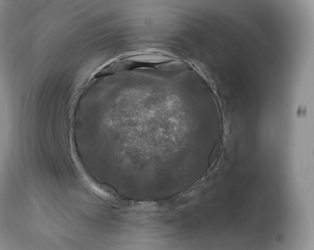 X0000113580097200910091511