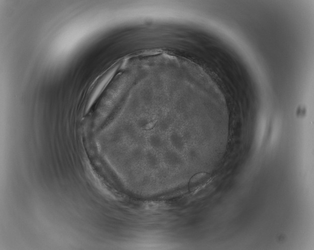 X0000113580099200910091511