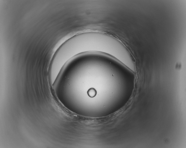 X0000113580100200910091511