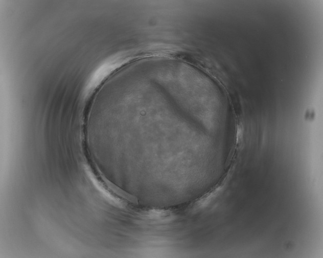 X0000113580101200910091511