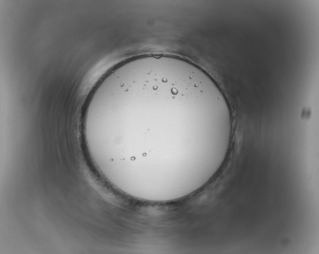 X0000113580103200910091511