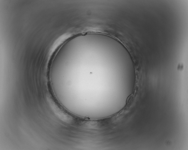 X0000113580104200910091511