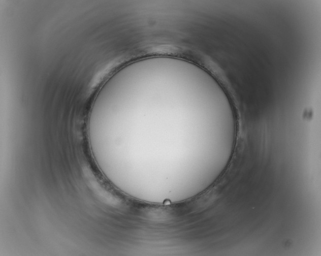 X0000113580106200910091511