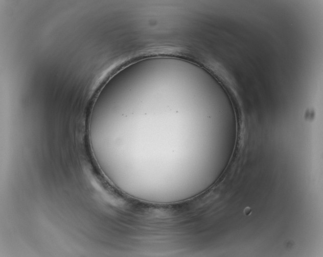 X0000113580107200910091511