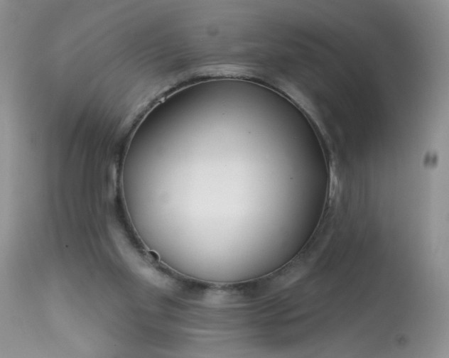 X0000113580109200910091511