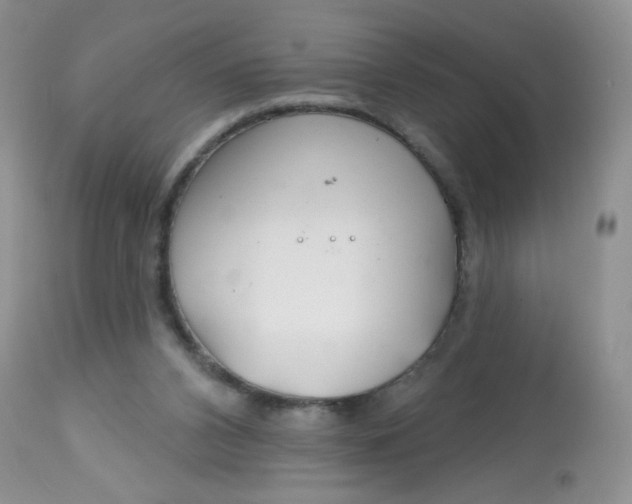 X0000113580112200910091511