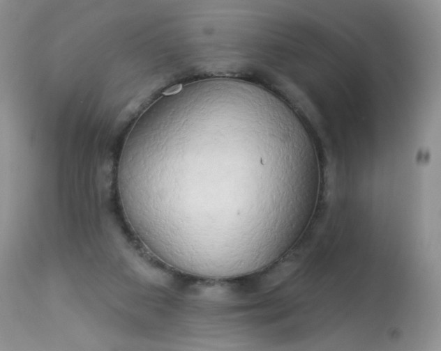 X0000113580113200910091511