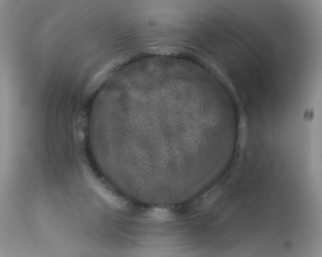 X0000113580114200910091511