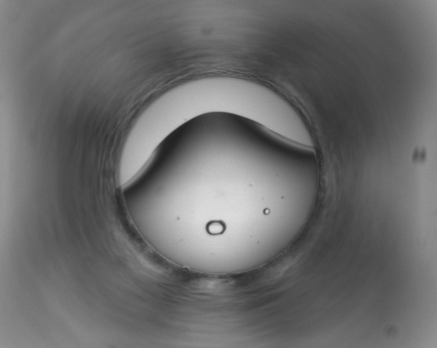 X0000113580117200910091511