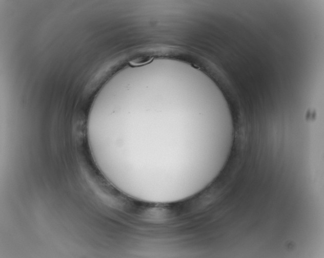 X0000113580119200910091511