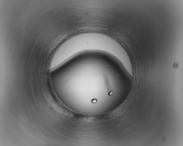 X0000113580120200910091511