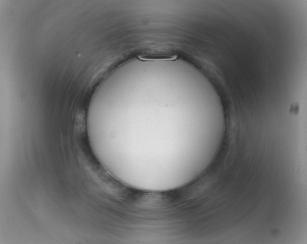 X0000113580123200910091511