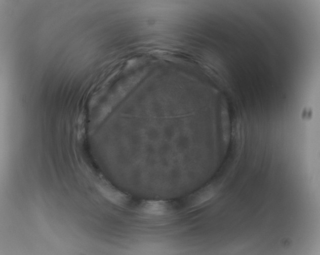 X0000113580127200910091511