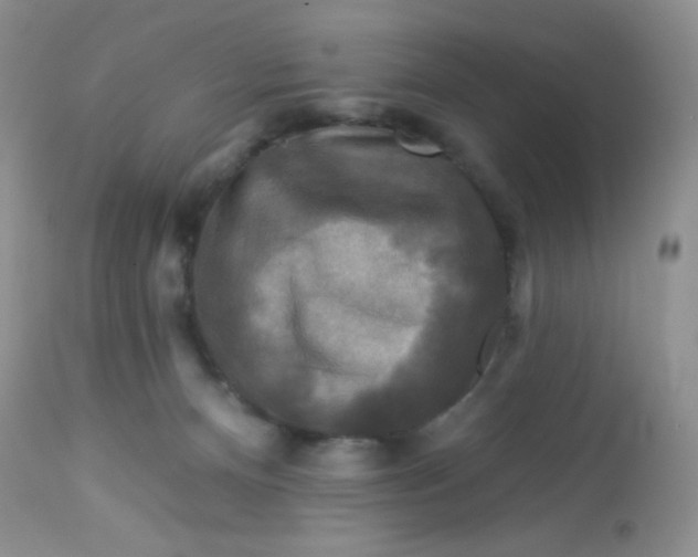 X0000113580128200910091511