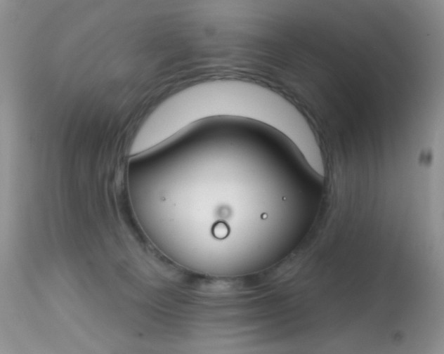 X0000113580129200910091511