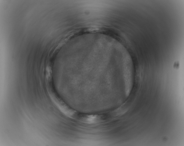 X0000113580130200910091511