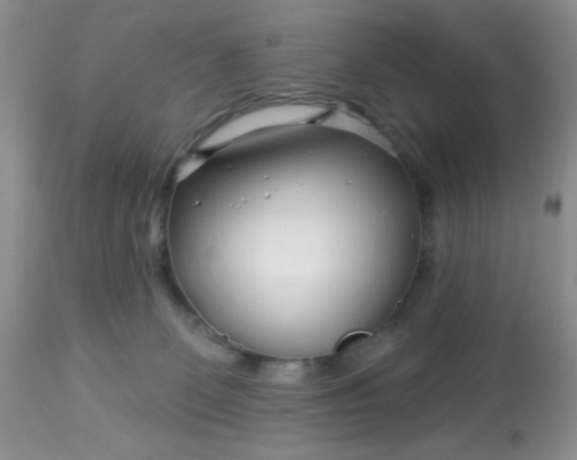 X0000113580131200910091511