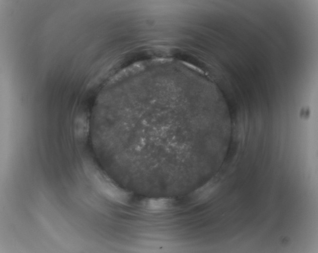 X0000113580134200910091511