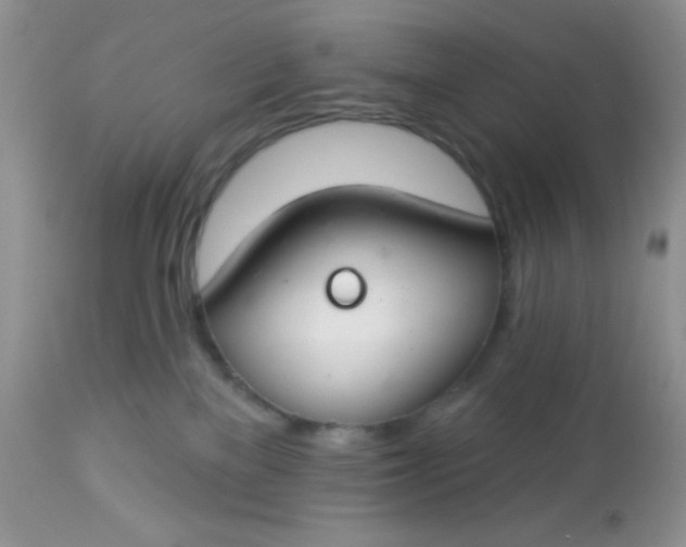 X0000113580137200910091511