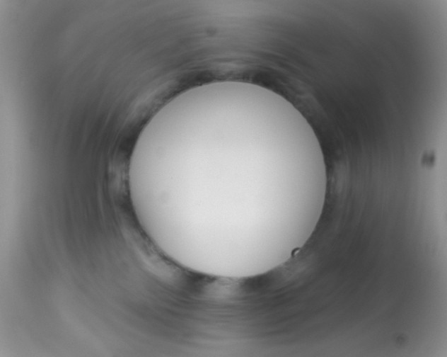 X0000113580138200910091511