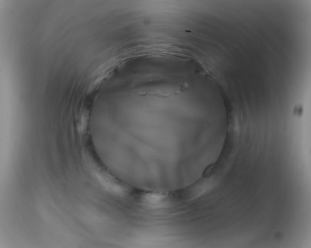 X0000113580139200910091511