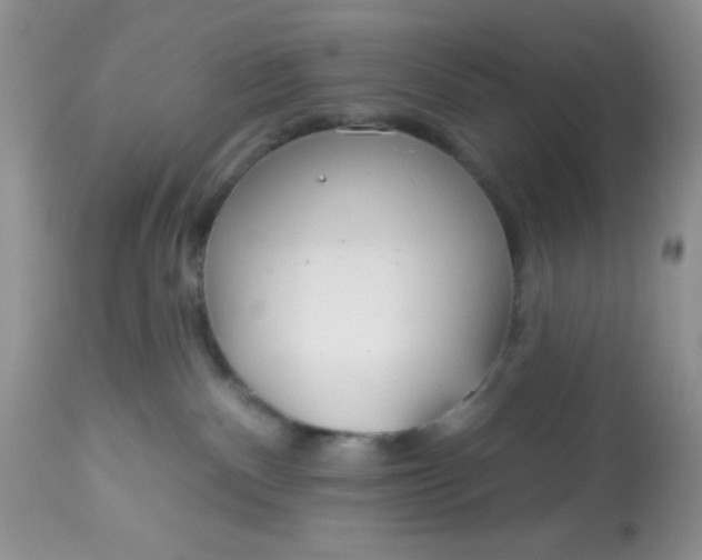 X0000113580140200910091511