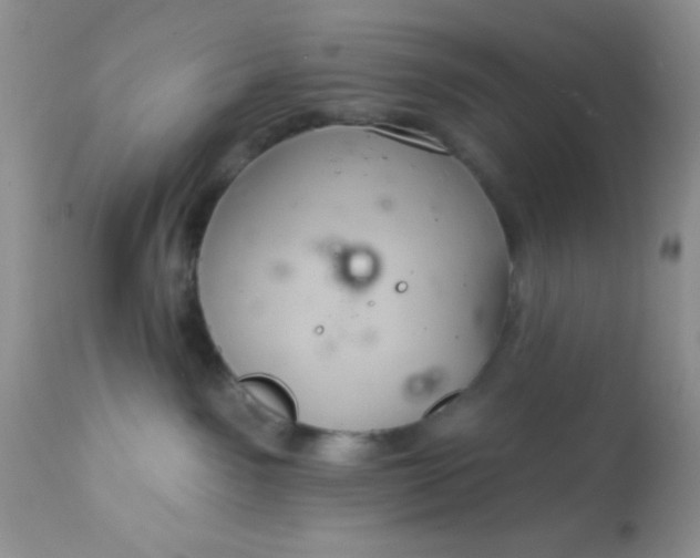 X0000113580141200910091511