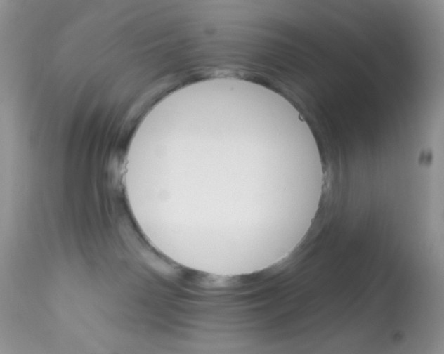 X0000113580142200910091511