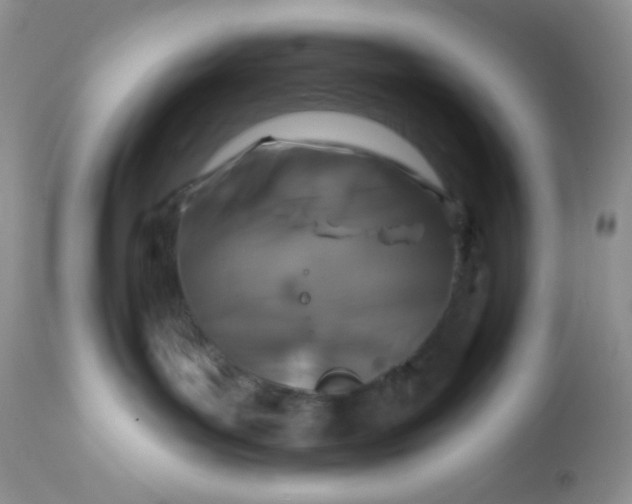 X0000113580143200910091511