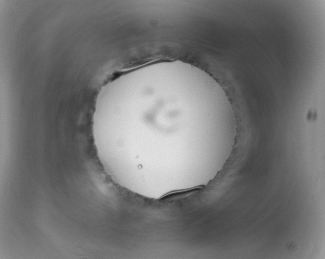 X0000113580144200910091510