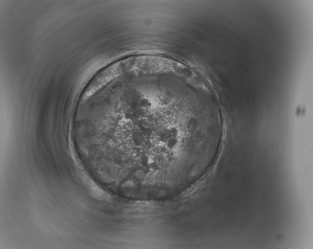 X0000113580145200910091510