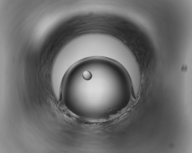 X0000113580146200910091510