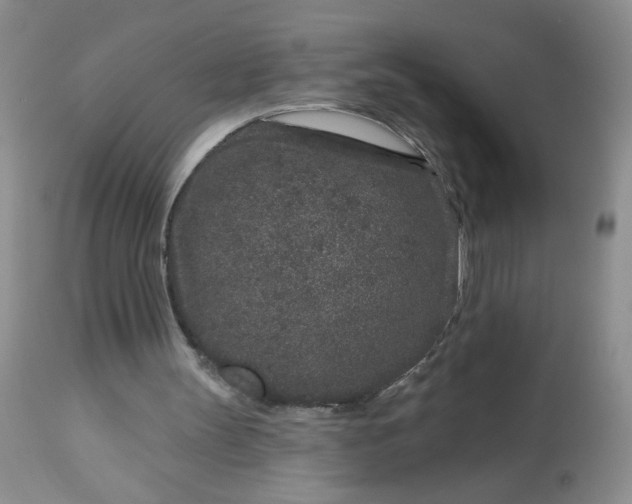 X0000113580147200910091510