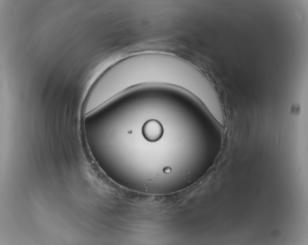 X0000113580148200910091510