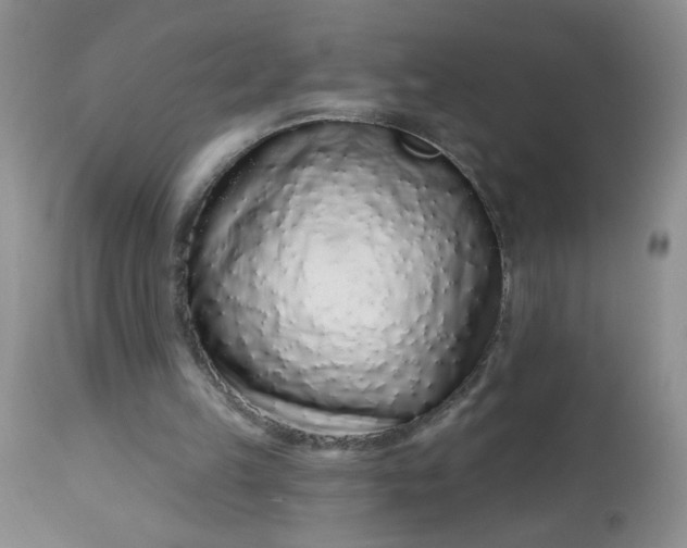 X0000113580149200910091510