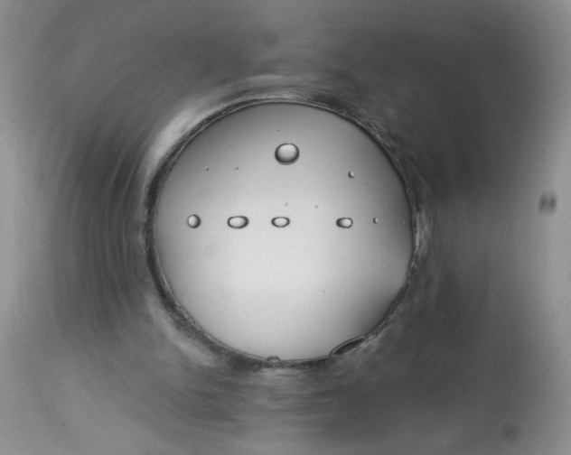 X0000113580150200910091510