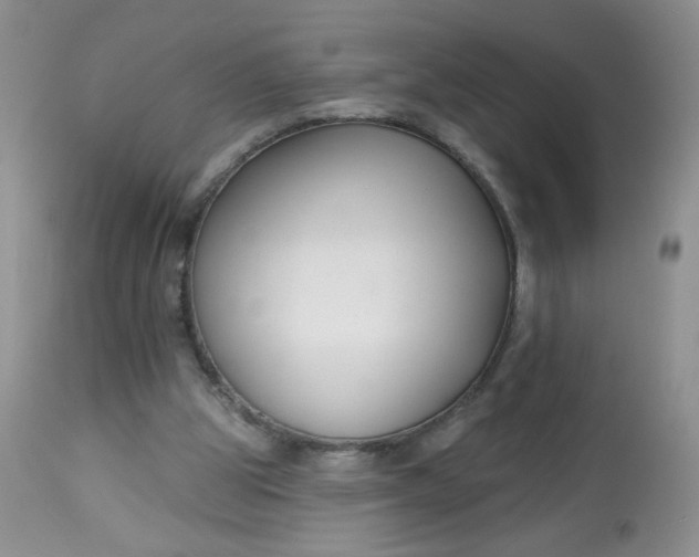 X0000113580153200910091510