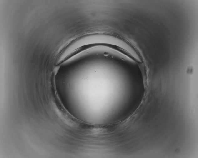 X0000113580154200910091510