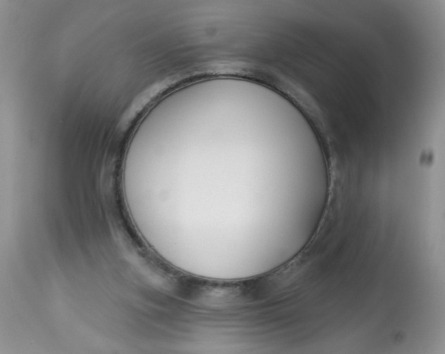 X0000113580155200910091510