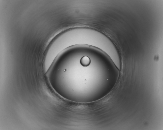 X0000113580156200910091510